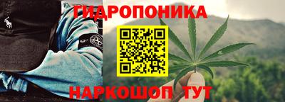 шишки Ликино-Дулёво