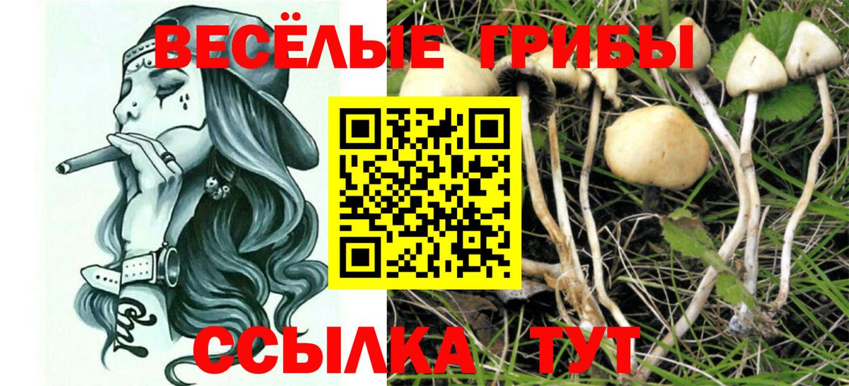 Галлюциногенные грибы Psilocybe  Вход с VPN  продажа наркотиков  Чебаркуль 