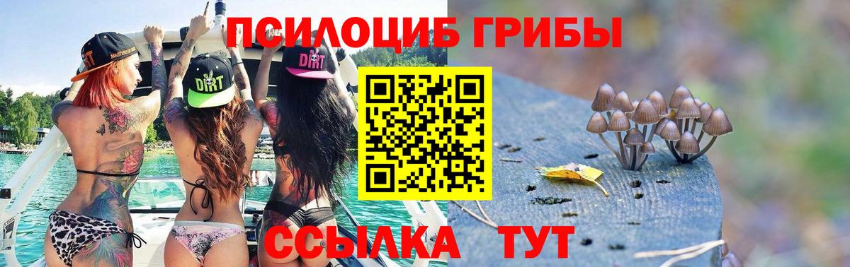 Галлюциногенные грибы GOLDEN TEACHER Чебаркуль